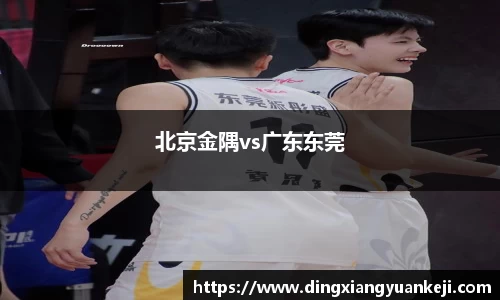 北京金隅vs广东东莞
