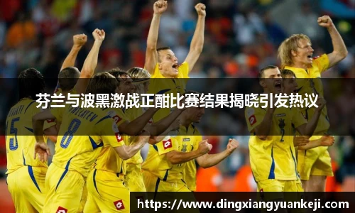 芬兰与波黑激战正酣比赛结果揭晓引发热议